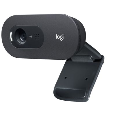 Logitech C505e Webcam Professionnelle HD - Webcam USB HD 720p pour Ordinateur de Bureau et Ordinateur Portable, avec Microphone Longue Portée, Compatible avec PC, Mac ou Chromebook - Gris